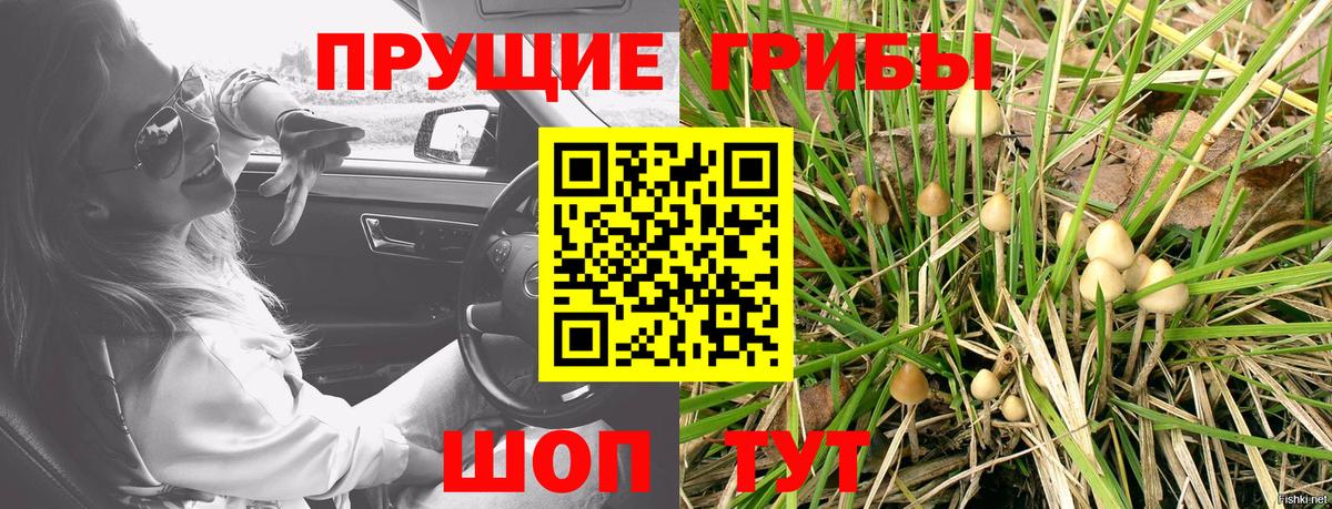 Галлюциногенные грибы мухоморы Луга